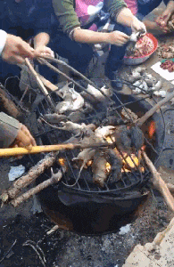 |搞笑GIF段子:妹子,你考虑过猪的感受吗?