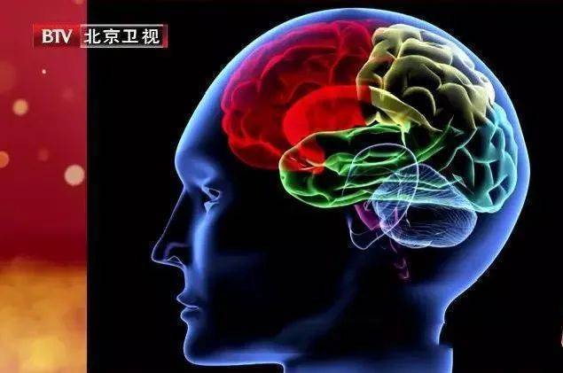 冷知识|牛奶比水更补水、有些蔬菜自带盐分,关于食物的冷知识你知道几个