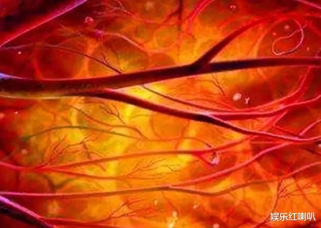 这种坚果或在偷偷“堵塞”你的血管，要提醒家人尽量少吃