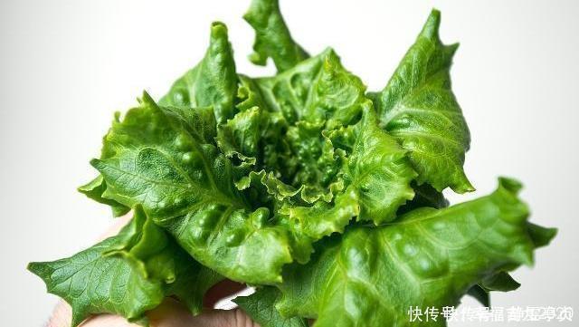 蛋白质|这些隔夜食物不要吃了,赶紧告诉爸妈,宁愿浪费也别把自己吃坏了