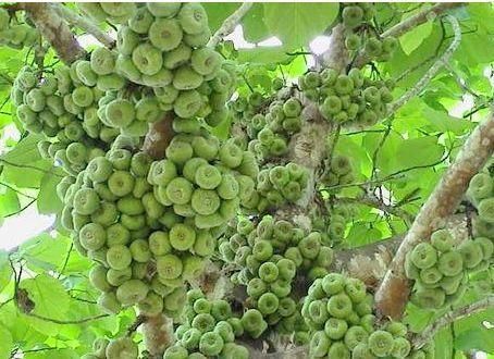 食物|女性到了中年常吃三种食物,补充营养,延缓衰老,好吃又不贵