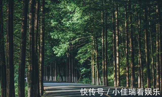 乡村路|“中国最美乡村路”又添一景，距4000年银杏仅3公里