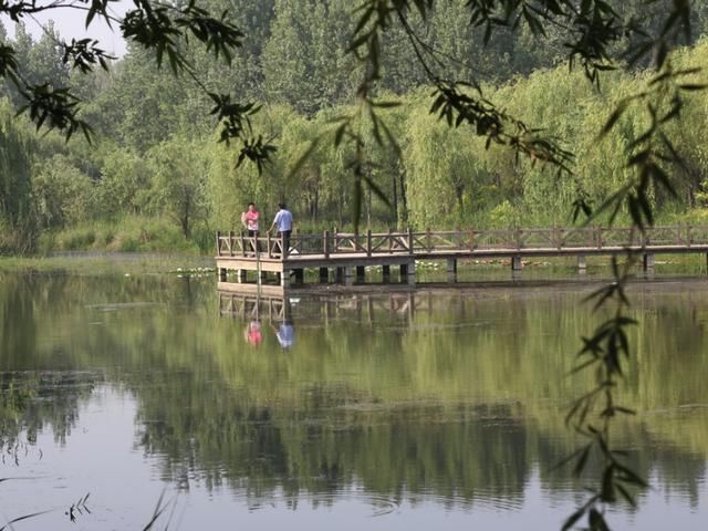 山东一公园走红，被誉为“小江南”，有望发展成5A景区