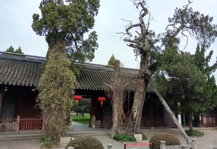  外国|我国孔庙如此多，连外国也有，但它凭什么它被誉为“吴中第一”？