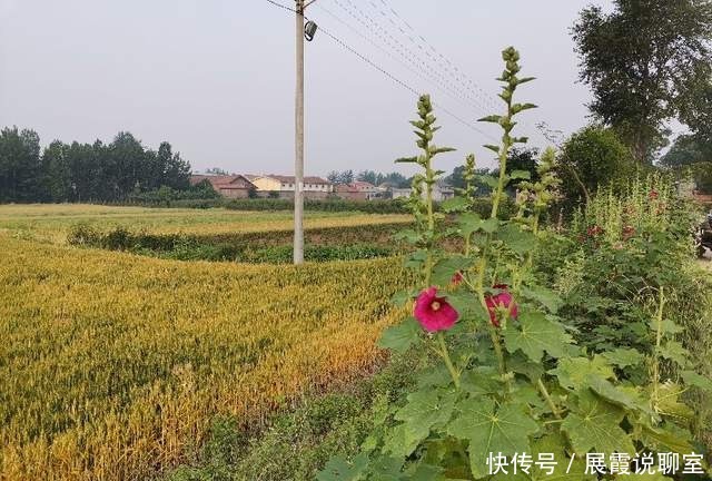 农村俗语:“人贪四样,一生白忙”,现在人大多不太懂