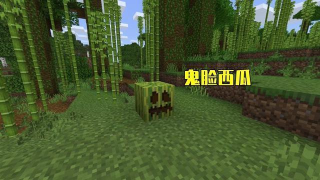 游戏|我的世界：别和MC谈科学，这7组图片，无法用正常思维理解