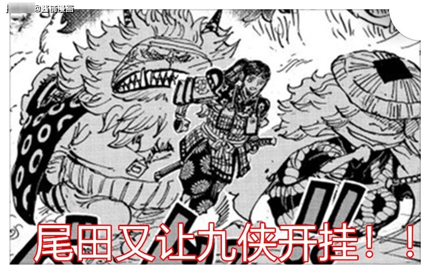 海贼王1009话，九侠又开挂并让大蛇领便当，狸猫果实能力者上线玩耍