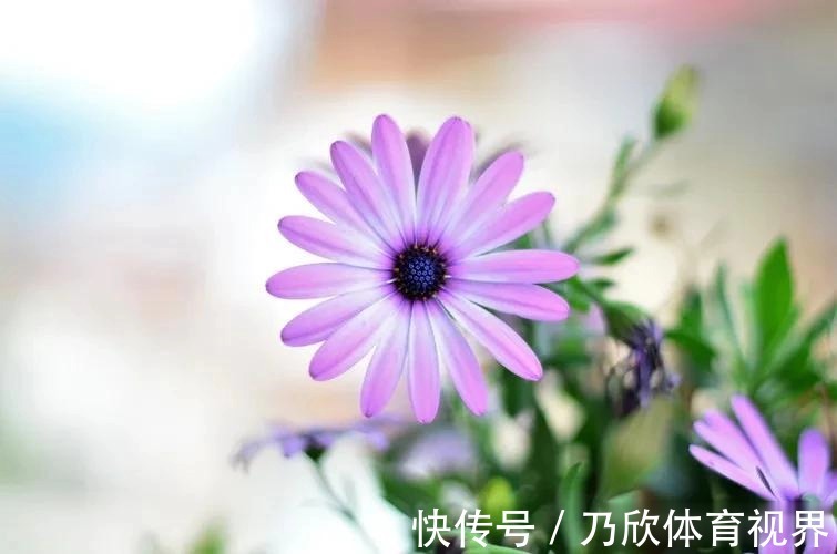 疖子|不补身体虚,一补就上火,你可能是上热下寒了,4招帮你搞定