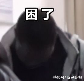 中文四六级考试来了！你的货拉拉拉不拉拉布拉多？快来挑战