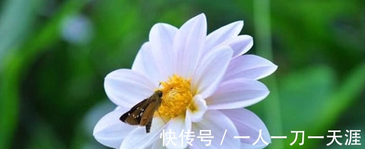 农历|小孩在农历这个月出生,聪明孝顺运势旺,定能成为人生赢家!