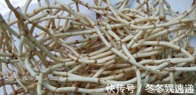 身体健康|它是天然的“青霉素”,常吃能增强免疫力,让你身体健康少生病