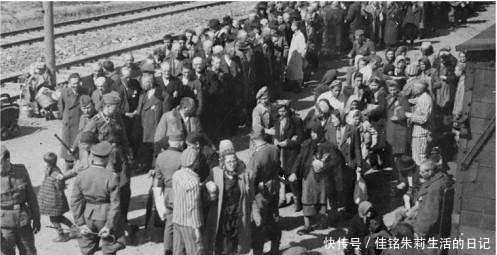 本人|中国收留犹太人,犹太人却想在中国建国,最终惹来众怒,驱逐出境