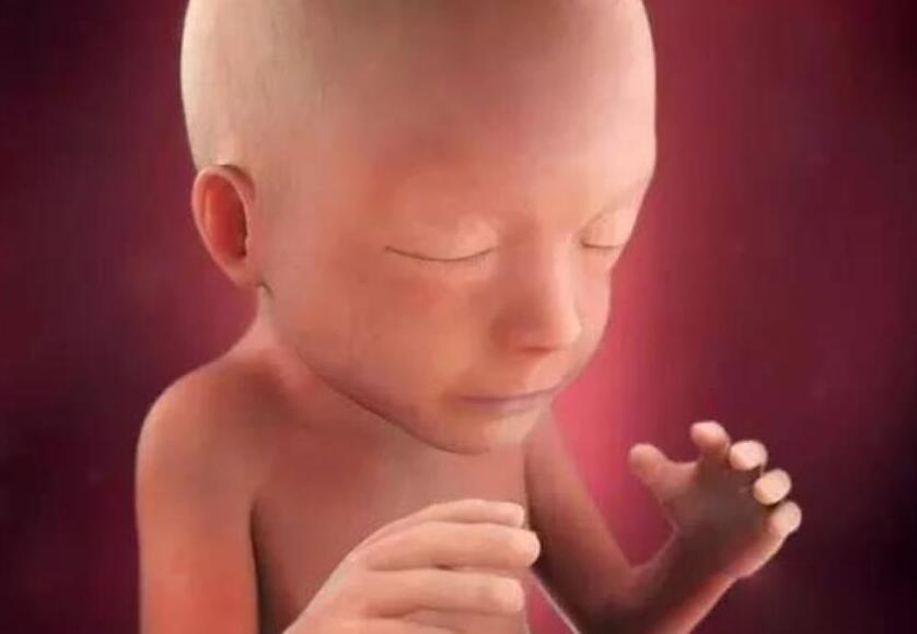 胎动|怀孕5个月，如果孕妇遵循“四要三不要”原则，胎儿健康又聪明