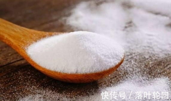 小苏打养花的3大好处,改良土壤、除臭、延长花期,你全懂吗?