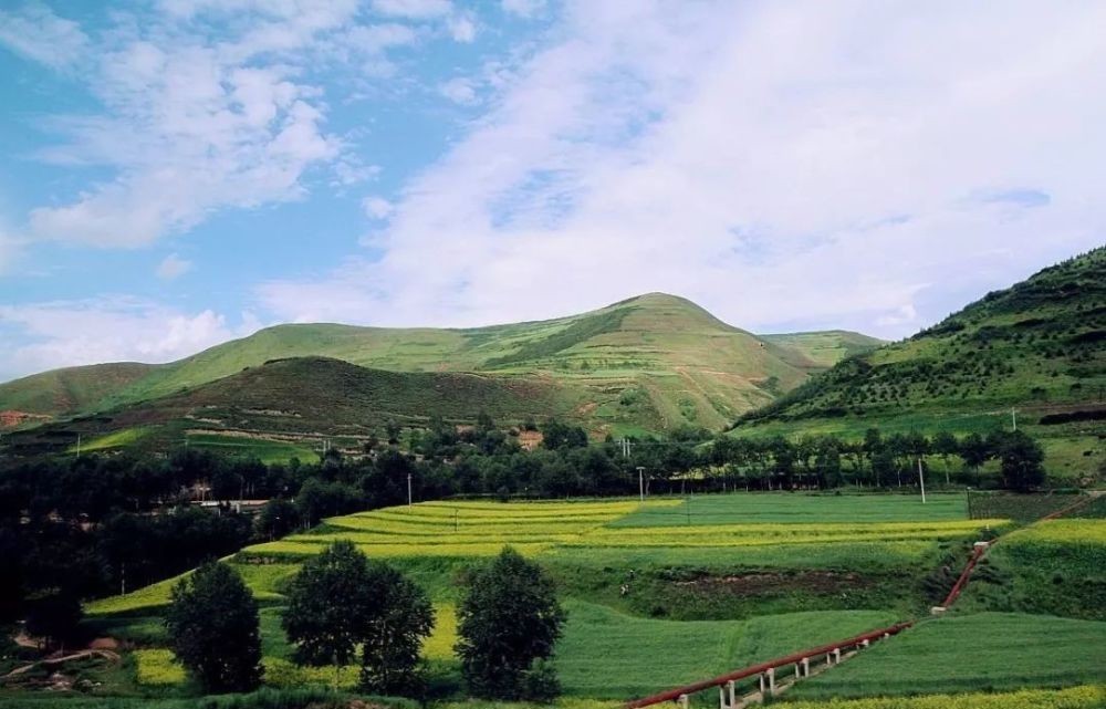 军队|西北胡尘:让北宋头疼150年的西夏王国军队