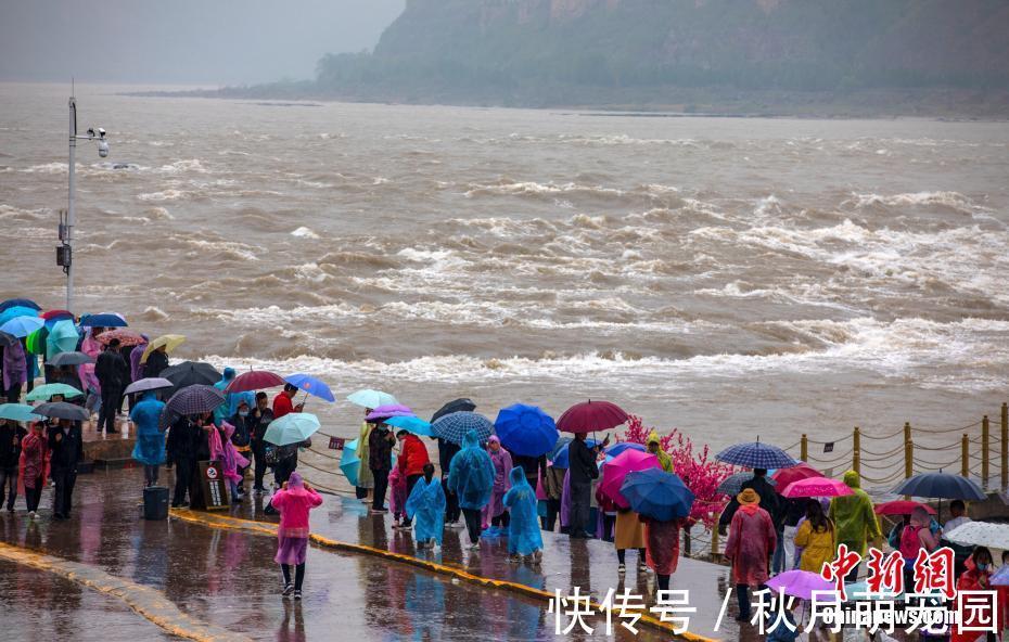 兰华|雨中的黄河壶口瀑布：波涛汹涌气势磅礴