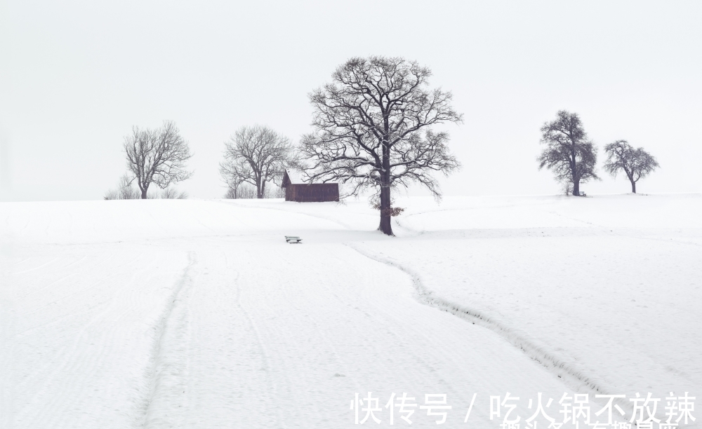 天秤座|绝对不会将就自己感情的星座：绝不和和自己不喜欢的人在一起