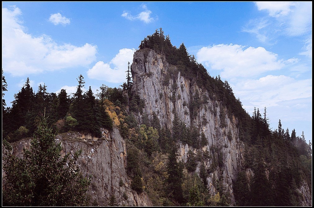 无言的凝眸——作者:罗曼丽