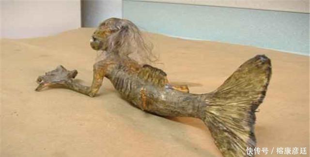 专家|科学奇迹,秦始皇陵中的人鱼灯,让专家抓狂