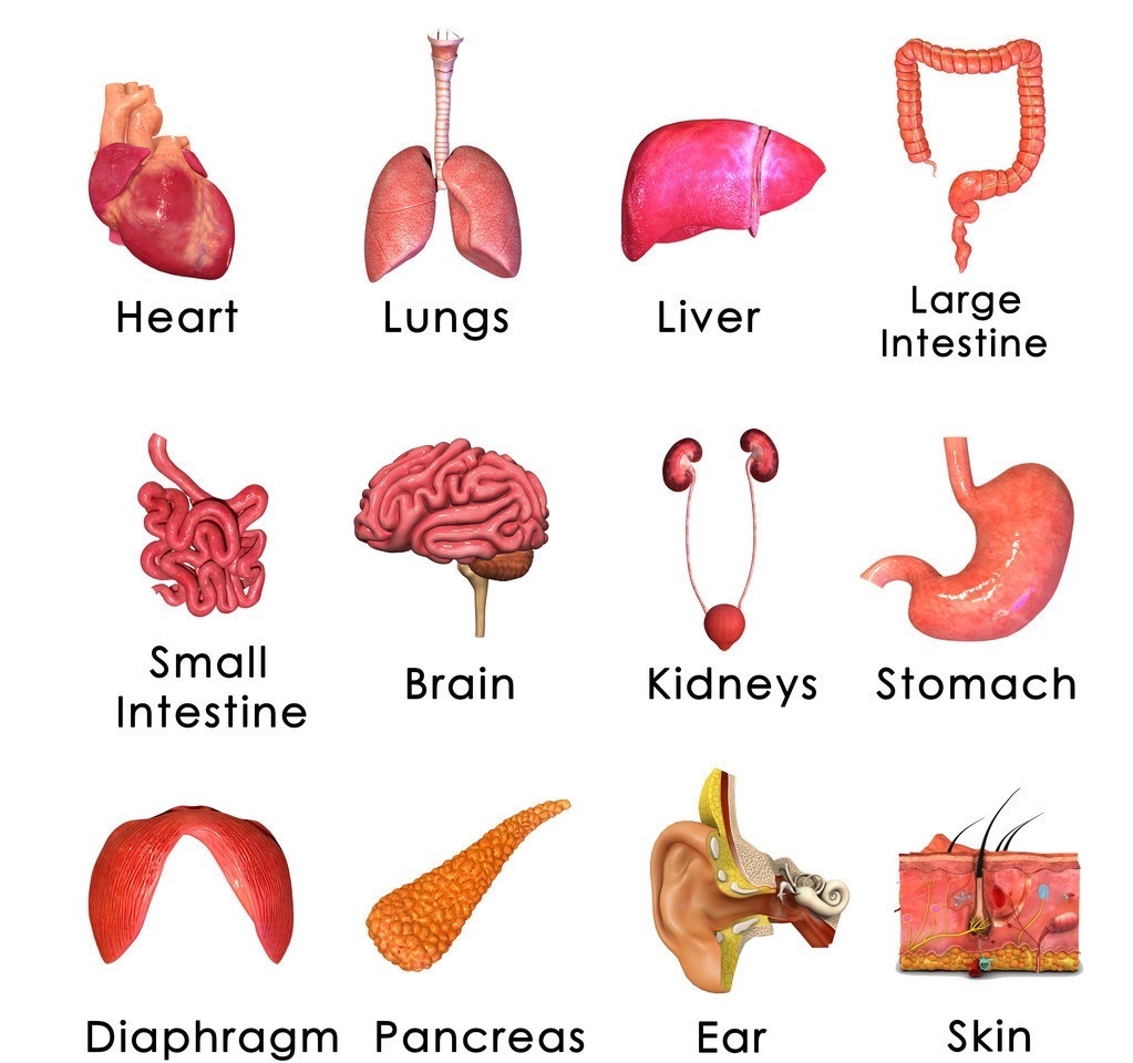 筛查|年年体检没问题，怎么突然就查出来肺癌晚期了，两点原因需要避免