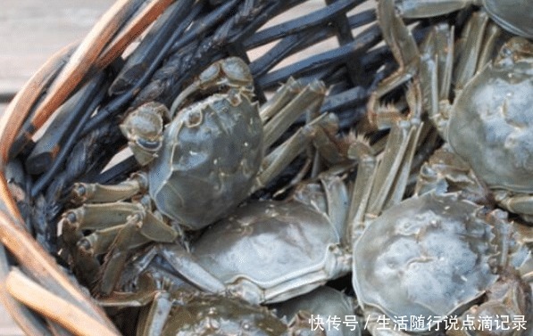 方法|保存螃蟹,不要直接放冰箱!老渔民教你简单方法,放7天还是活的