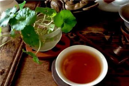 隔夜茶|浇花选水要谨慎，这四种水被称作“夺命水”，千万不能用