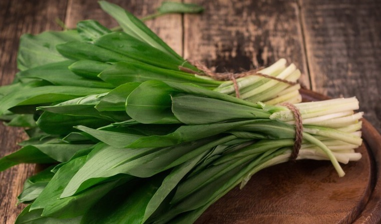 野菜|春天挖野菜，送你56种野菜大图片，带你见识不同的野菜和吃法