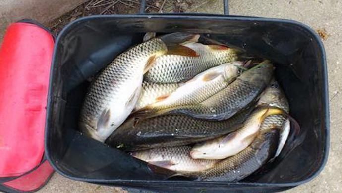 饵料|一顿饭换来的饵料配方,比老三样还好用,今天分享给钓友