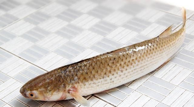 重金属|五种鱼快撤下饭桌,或含有毒素和重金属,希望你能早一点知道