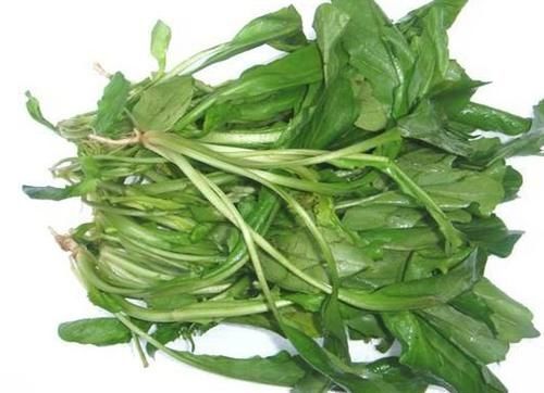 荠菜|孩子补钙多吃的蔬菜,促进骨骼发育,好吃不贵,效果比钙片好