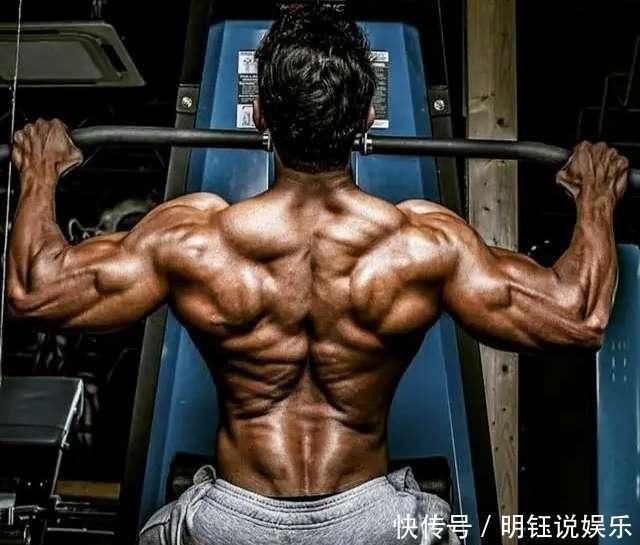 引体|引体向上的5种变式,帮你塑造真正的“虎背熊腰”,看你能做几种