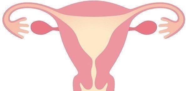 卵泡|排卵期女性身体4大变化准确计算排卵期这样才科学