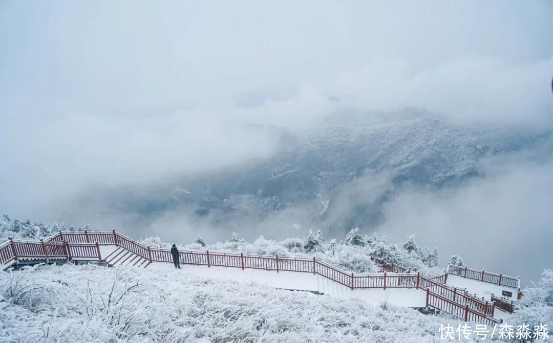 山下|十里风雪天涯路，秦岭雪乡留下吧，紫柏山下是我家