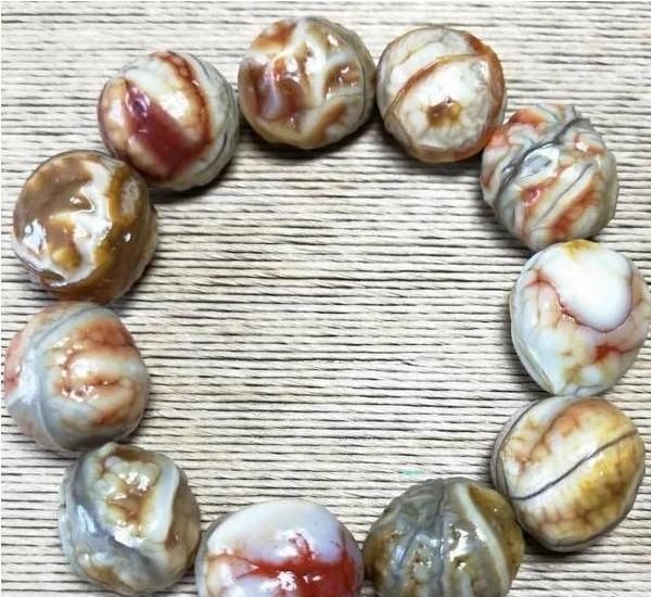 小石头|这种看起来肉肉的小石头异常珍贵,一颗就有可能换回一辆小轿车