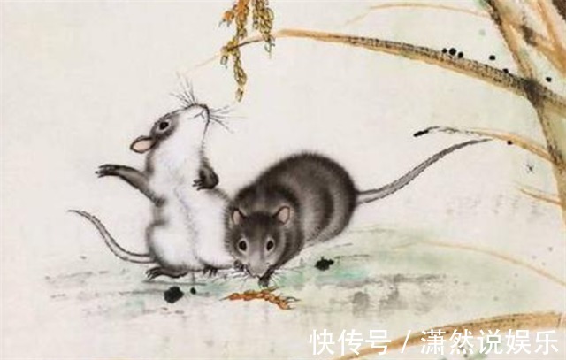 生肖|最不好骗的三个生肖,一个装傻,一个有主见,一个不理睬