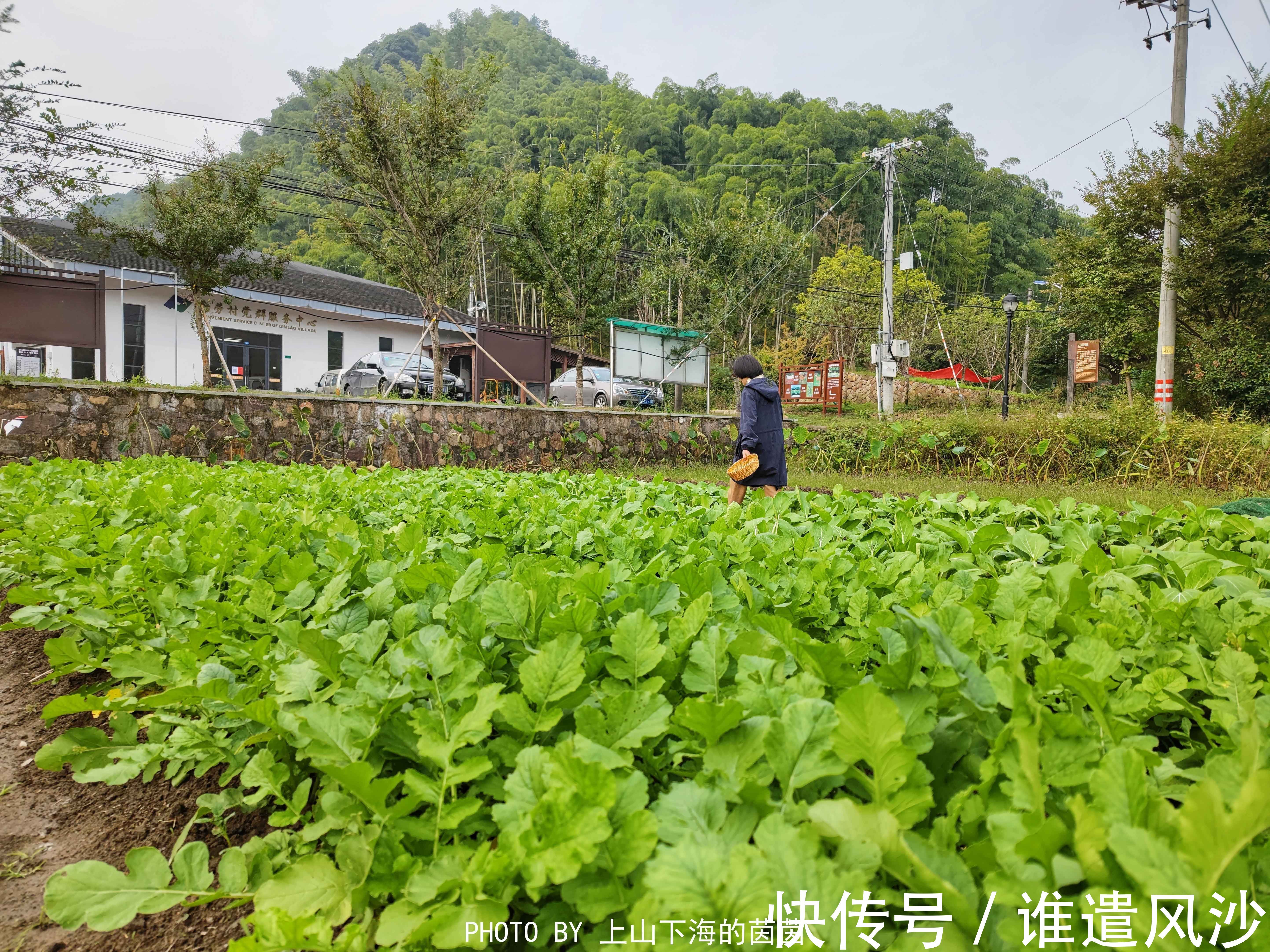 静心酒店|走进莫干山治愈系民宿，在禅意满满天真乐元静心酒店遇见最真自己