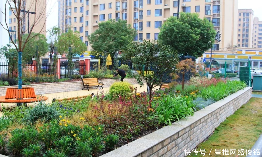 城市|这里新增一处“城市客厅”