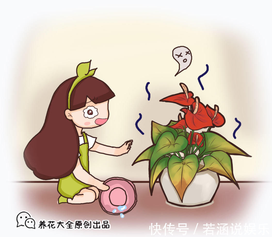 养花|家里的养花土生虫子?学会这几招,什么虫子都不用怕了