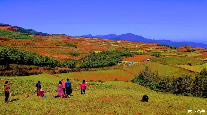 醉美东川红土地……大地调色板