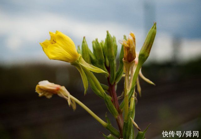 7月，邂逅旧情，前世回眸，痴心决定，相爱到底的生肖