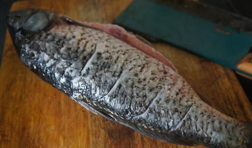 鱼刺卡在喉咙里,不要只会喝醋了,教你1招,鱼刺自己跑出来!