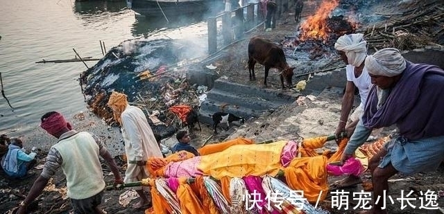 鹿野苑@余秋雨在印度考察很失望,印前部长:别灰心,中国25年能赶上我们