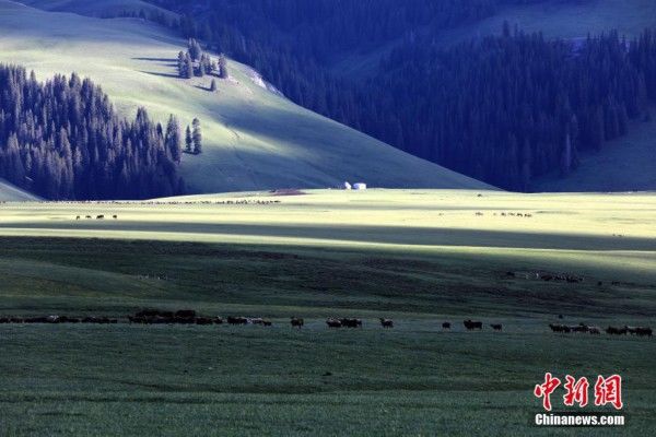 美景|雨后美景 阳光散照如丝带“飘浮”草原之上