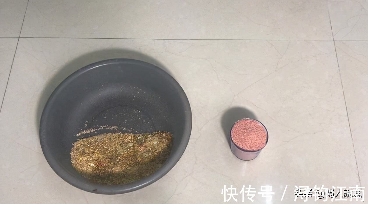 秋天的鱼都有贪食的弱点,如果你钓不上来,不妨来看看是哪里错了