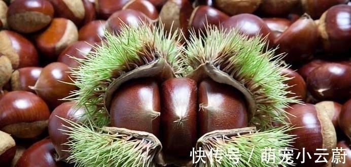 清洗干净|秋季健脾很重要,分享八种健脾的食物,多吃它们,顺利过秋季