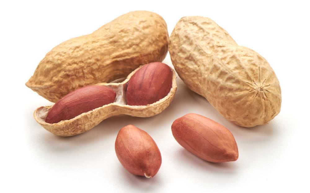 胰岛素抵抗|哈佛大学研究证实:常吃花生,有利于心血管健康!医生教你怎么吃