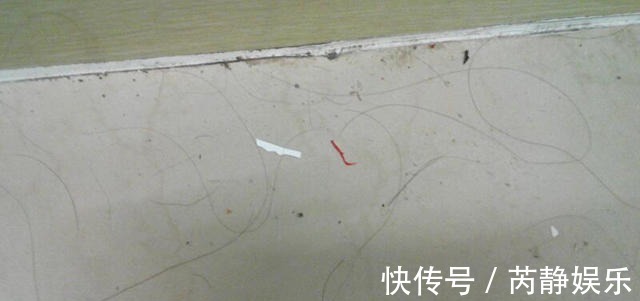 家里满地头发太难扫？试试这个超省事的方法，一根头发都见不到！