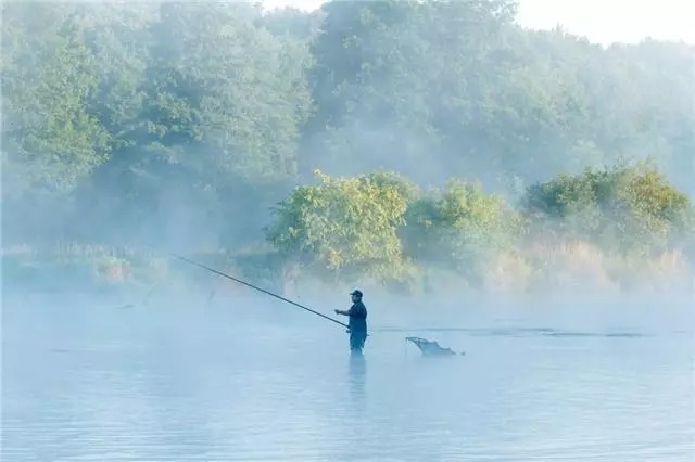 一种非常强悍的钓鱼法，饵料易寻、效果显著，上鱼可观