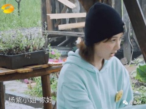 杨紫|杨紫与张艺兴也太甜了吧!他们会在一起吗?