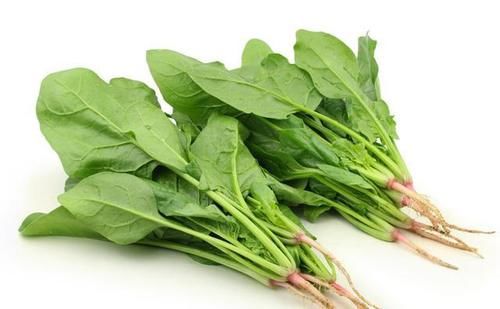 惊蛰后，不管有钱没钱，餐桌5宝不能少，顺应时节，家人都受益